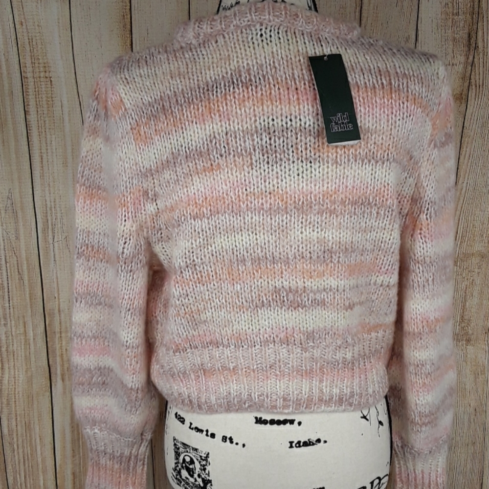 WILD FABLE Cropped Knit Sweater Womens Striped Crew Neck Striped Winter - Picture 3 of 5